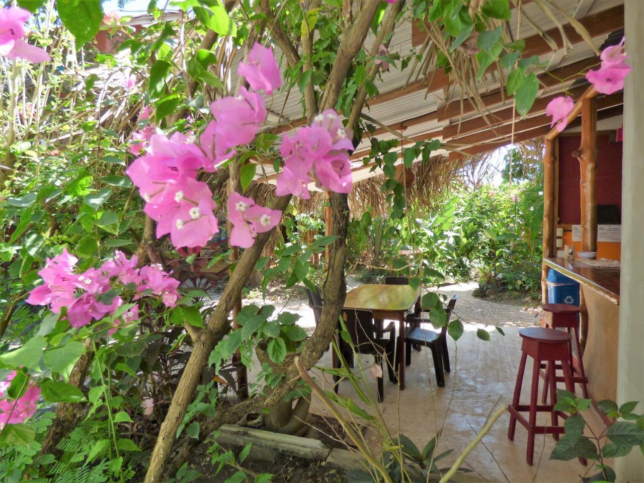 Hotel Meli Melo Playa Santa Teresa  Extérieur photo